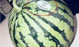 炸裂网红吃瓜,揭秘娱乐圈幕后真相